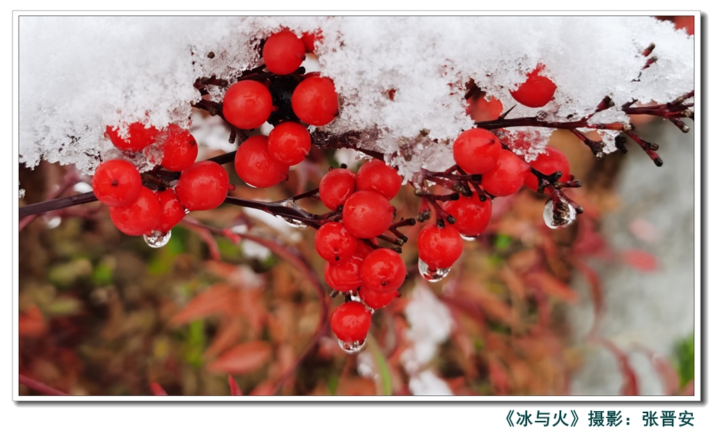 021735807566105070.jpeg IMG_20201123_145054_副本_副本.jpg